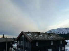 Loft Apartment With Ski Access In Trysil