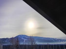 Willa Na G&oacute;rce，位于什切尔克的别墅