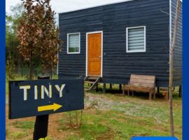 Tiny estrella sur y tinaja，位于Pitrufquén的酒店