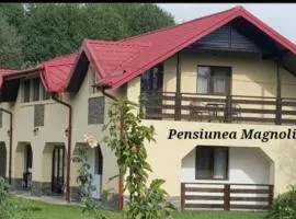 Pensiunea Magnolia din Tismana