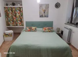 Il Cervo Reale di Venaria