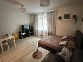 1-bedroom apartment in the center of Bratislava
