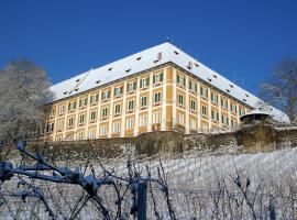 斯坦泽霍夫酒店，位于施泰因茨的酒店