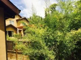 Gorgeous cottage in fair oaks village