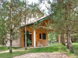 Chalet spacieux avec terrasse pour 8 personnes - API-1-52-1342