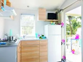 Mobil-home 6 pers avec terrasse - API-1-52-1402