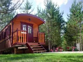 Roulotte avec Terrasse pour 5 personnes - API-1-52-1496