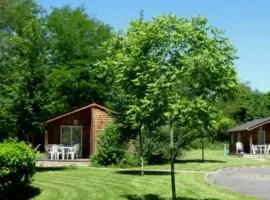 Chalet confortable pour 6 avec terrasse et équipements modernes - API-1-52-1540