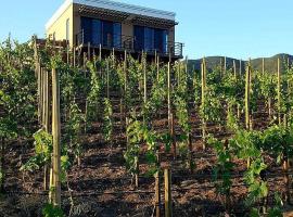 Cabañas Rancho Palos Verdes，位于Villa de Juárez的酒店