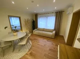 Cozy apartment in Irrel