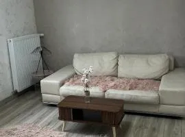 Fully equipped Art apartment in Thionville