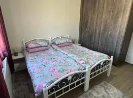 Tryavna Central Apartments-Harmony