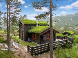 Charming cabin by Hallingskarvet ski center，位于Hol的酒店