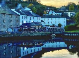 蒸汽派克宾馆，位于托特尼斯的宾馆