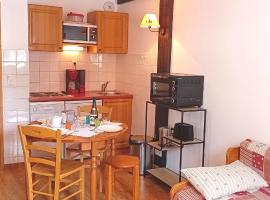 Terrasses E 208 - PARC NAT VANOISE appart 4 pers，位于泰尔米尼翁的酒店