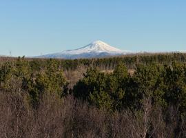 Large cabin 4 rooms with Hekla volcano view，位于海拉的酒店