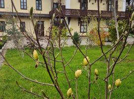 Villa Musik - historical apartments, Baden，位于巴登的酒店