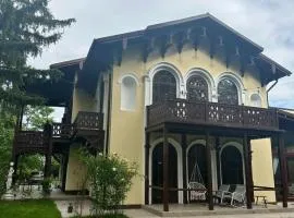 Villa Musik - apartments in historical Villa , Baden