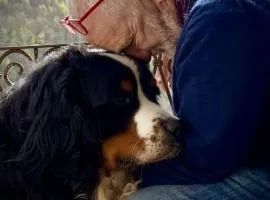 Viandanti, Artisti e Sognatori