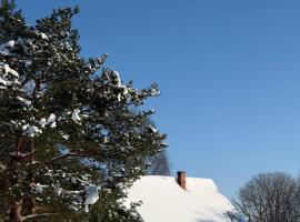 Viesu māja Rāzna - Pirts，位于Ragi的酒店