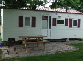 Mobil-home avec Terrasse pour 5 personnes - API-1-52-1674