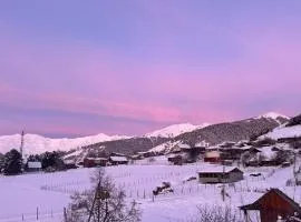 Tusheti Winter Home