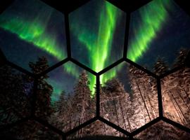 SKOG - Aurora Igloos Resort，位于卡利克斯的酒店