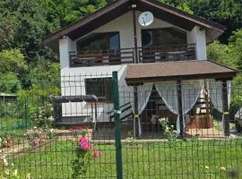 Къща Амфора