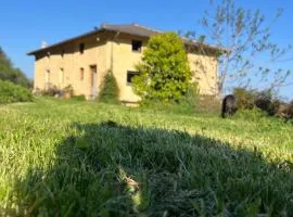 Eco Gîte avec vue sur mer