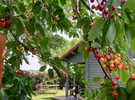 Landelijk gelegen houten huisje，位于Opperdoes的酒店