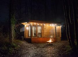 Log cabin in private woodland with lake，位于Borwick的酒店