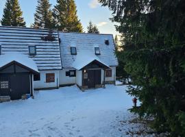 Cosy Rogla appartment 108，位于兹雷切的酒店