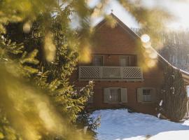 Family Nest vendégház，位于Sub Cetate的酒店