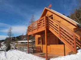 Karawankenpanorama S