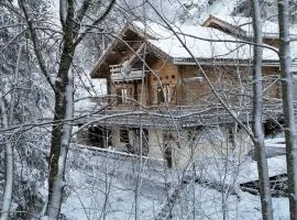 Col de la Faucille Apartment