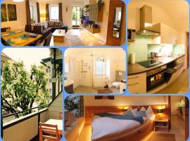 Apartment Haus Braumandl，位于巴德伊舍的酒店