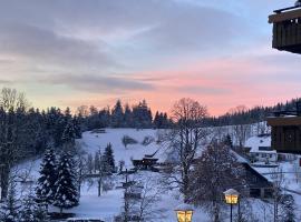 Boutique Hotel & Apartments Pension Sternen，位于托特莫斯的酒店
