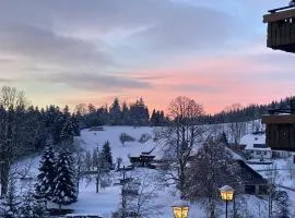 Boutique Hotel & Aparmtents Pension Sternen