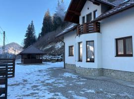 Casa Diaconu，位于丰杜摩尔多瓦的酒店