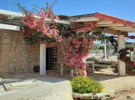 Macchia li Preti Estate Pescoluse Salento