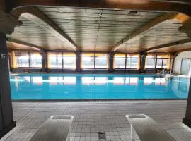 Renovated, swimming pool, sauna, forest, children room, free parking