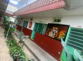 hotel el ricon del jaguar