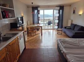 Apartmentanlage am Kellerberg，位于灿特的酒店