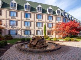Chateau Resort & Conference Center，位于坦纳斯维尔的酒店