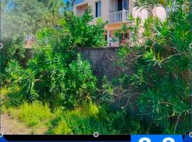 Large house at the beach.