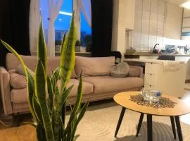 Apartament Klonowa Home -wejście 24h,kod, targi, faktura ,miejsce parkingowe