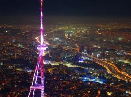 Hilton Apartment，位于第比利斯的自助式住宿