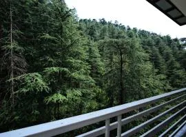 Verma Homestay NEW SIMLA