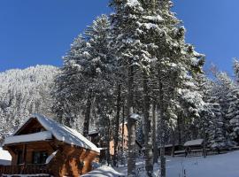 Hanul V&acirc;nătoresc，位于Cumpăna的浪漫度假酒店