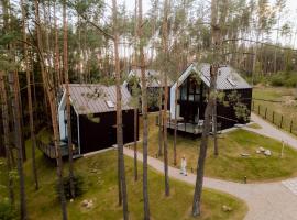 Dolina Ciszy - Wypoczynek i relaks pod sosnami，位于Łubiana的酒店